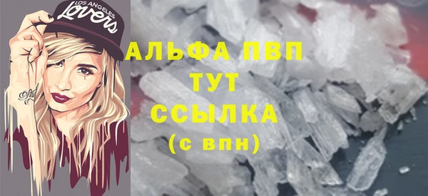 прущие крисы Ельня