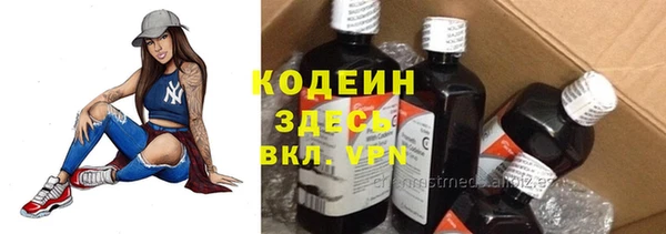 хмурый Елабуга