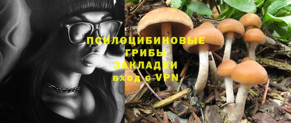 mix Елизово