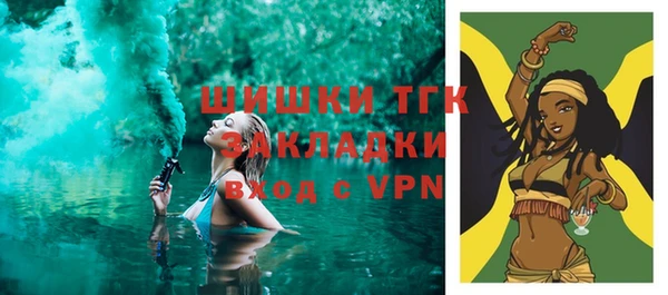 прущие крисы Ельня