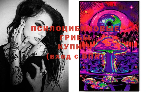 ешки Вязьма