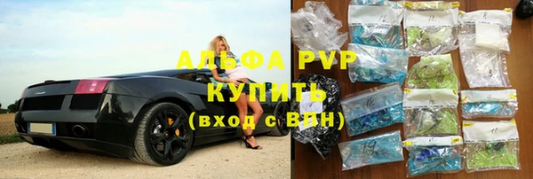прущие крисы Ельня