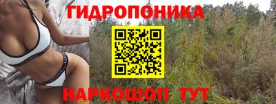 винт Берёзовский
