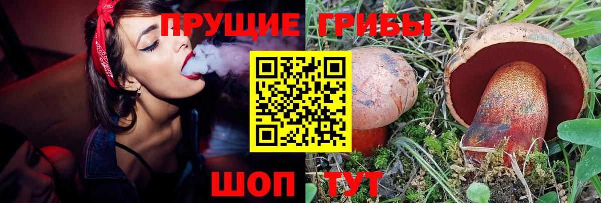Галлюциногенные грибы Cubensis Выкса