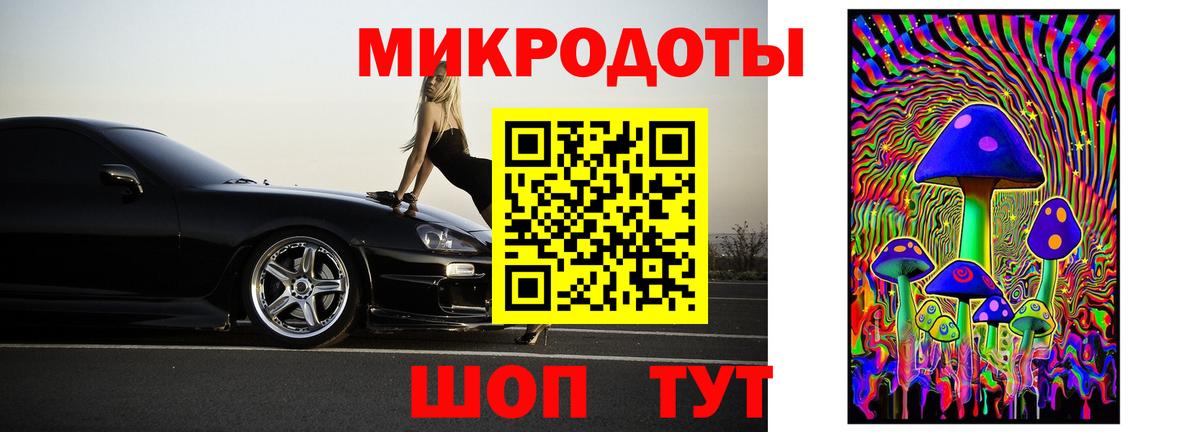 Псилоцибиновые грибы MAGIC MUSHROOMS  Выкса  Псилоцибиновые грибы прущие грибы 