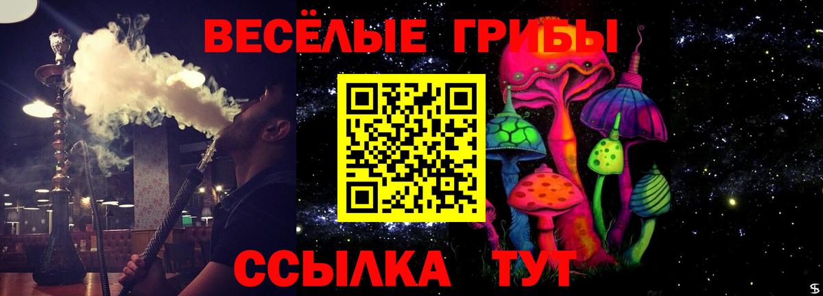 Выкса  Меф МЯУ МЯУ кристаллы  ЭКСТАЗИ  Альфа ПВП СК кристаллы  МЕФ   Гашиш  Каннабис  АМФЕТАМИН   COCAIN  МДМА 