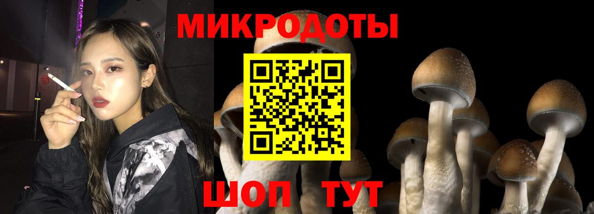 Выкса  Галлюциногенные грибы Psilocybine cubensis  Вход с VPN 